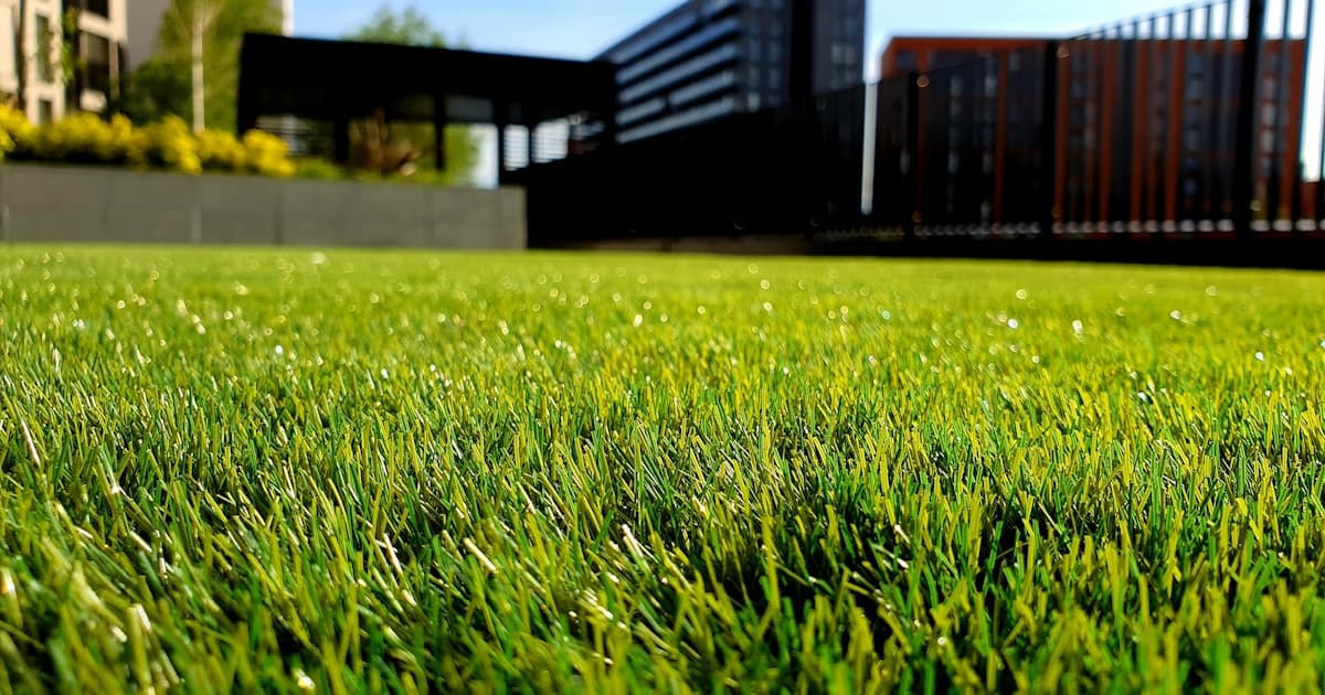 Beautiful landscaped garden in spring